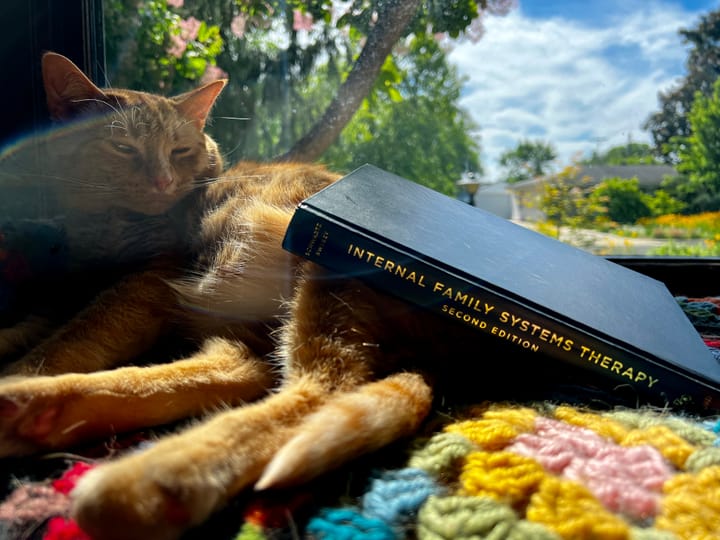 A sleepy orange cat is dozing on a crocheted afghan in the sunshine, with a hardcover book propped up on him.