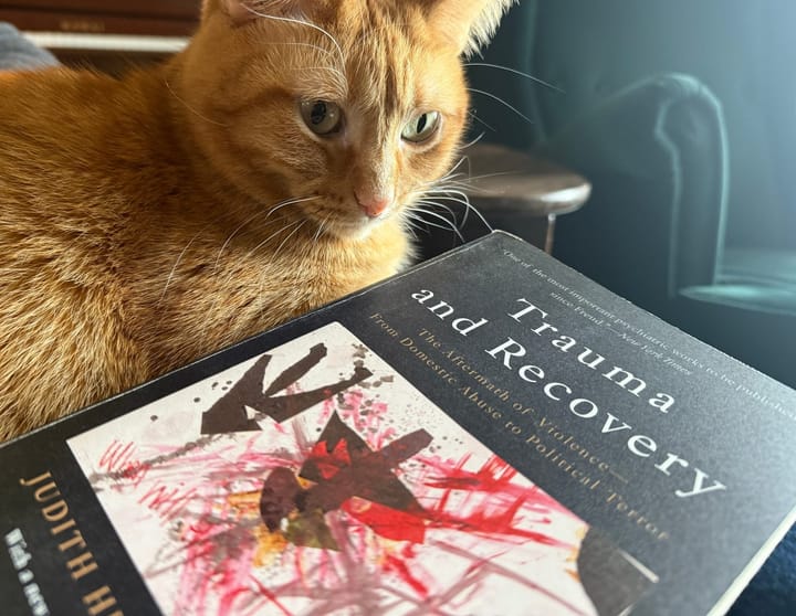 A little orange cat ponders the cover of Judith Herman’s book Trauma and Recovery